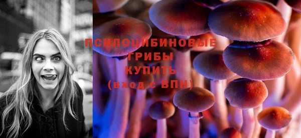 трава Инсар