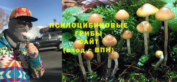 не бодяженный Каменногорск