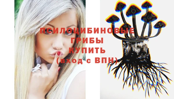 трава Инсар