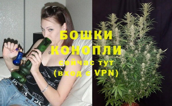 не бодяженный Каменногорск