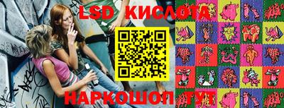 прущие грибы Будённовск