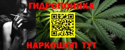 прущие грибы Будённовск