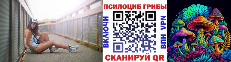 omg ССЫЛКА  Черкесск  Псилоцибиновые грибы Magic Shrooms 