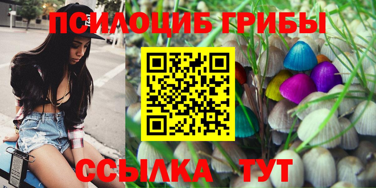 Псилоцибиновые грибы Psilocybine cubensis Черкесск
