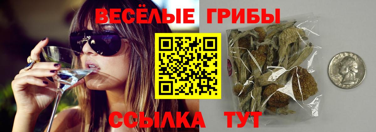 Галлюциногенные грибы Cubensis  Вход с VPN  Черкесск 